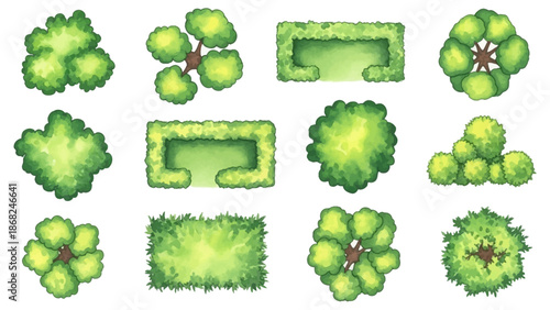Watercolor tree icon set, yellow hand drawn bush top view, vector green architecture map design kit. Garden park abstract sign, nature environment plan landscape layout object. Flat tree top crown art