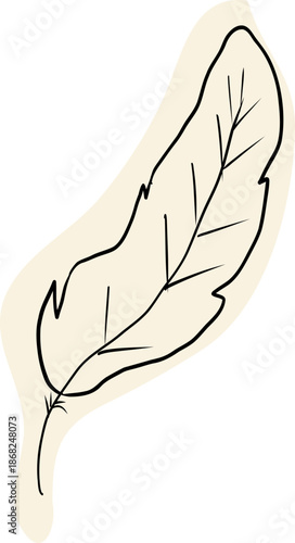 Graduate hat doodle hand drawn. Education college student success diploma drawing.