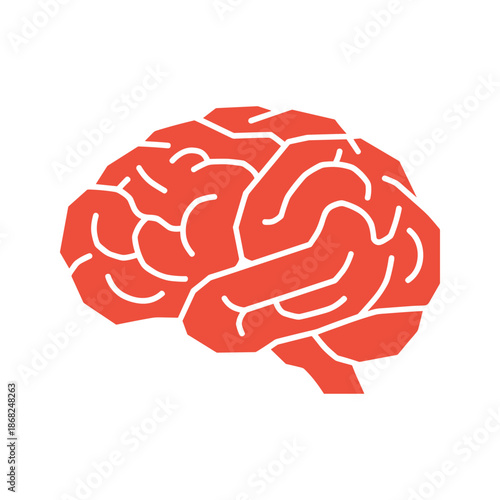 Brain Illustration Vector