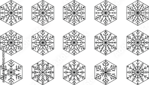 Abstract hexagonal snowflake collection black white winter geometric pattern minimal line art vector design isolated decorative symmetry background