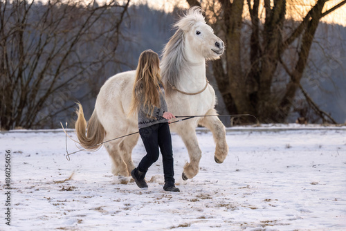 Bilde på lerret Woman practicing natural horsemanship and free work with a white horse outdoors