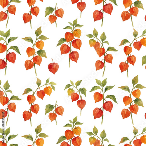 Watercolor-style Hozuki illustration／鬼灯