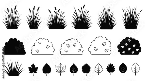 Black and white botanical illustration featuring grasses shrubs and various leaves