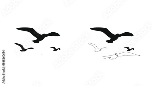 A flock of birds in flight depicted in both black and white outlines