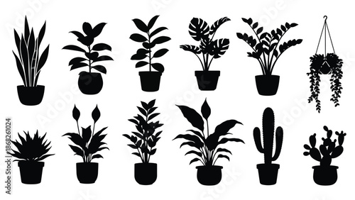 A collection of various potted indoor plants in black silhouette style