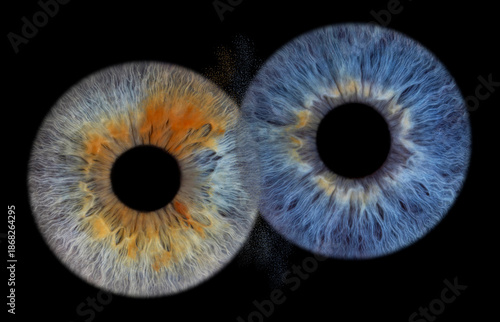 augen irisfotos iriden zwei paar freundschaft fusion zusammen heiraten