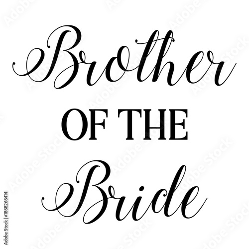 Elegant Bridal Party Collection Vector Illustration for Wedding Invitation