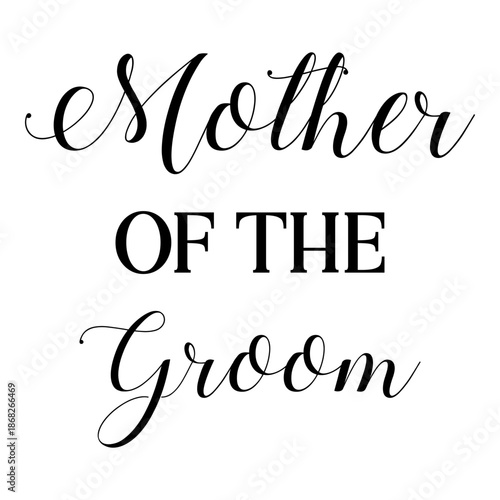 Happy Bridal Party Wedding Celebration Group Vector Illustration