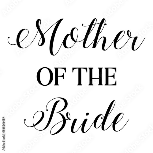 Modern Flat Bridal Party Cartoon Characters Vector Illustration