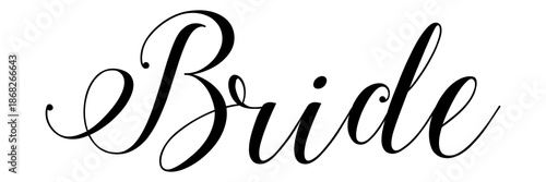 Happy Modern Bridal Party Friends Wedding Celebration Vector Illustration