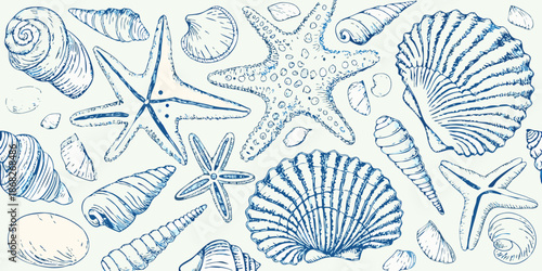 A delicate blue sketch featuring various seashells and starfish patterns