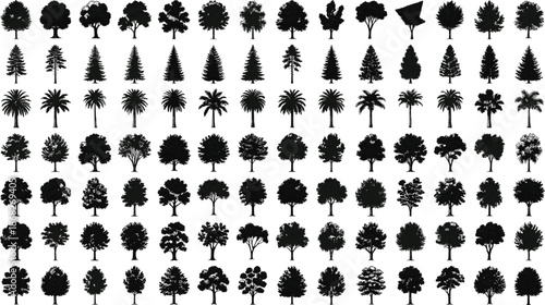 Large collection of black tree silhouettes including palm, pine, oak and forest trees isolated on gray background for design, nature and landscape projects