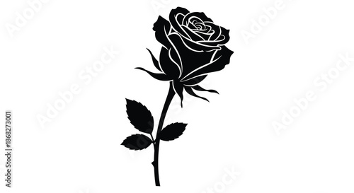 A striking silhouette of a single rose with delicate petals and stem