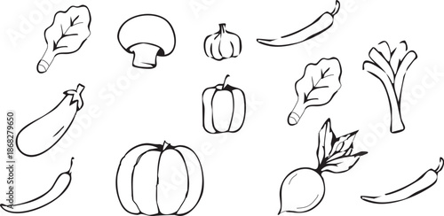 Big set of hand drawn sketch squashes and fungus. Autumn doodle design. Black sketch elements on white background. Different types of fungus and pumpkins. Good for coloring pages, stickers, tatoo.
