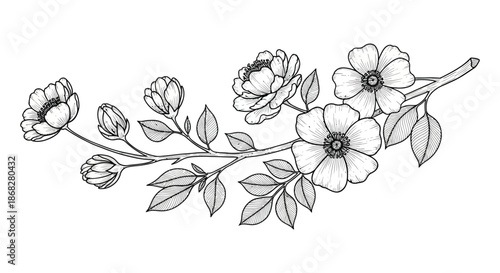 A delicate floral branch illustration featuring blossoming flowers and green leaves