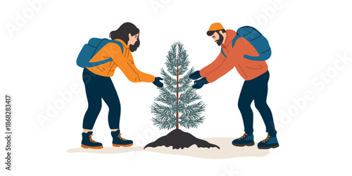 man and woman planting a young fir tree illustration