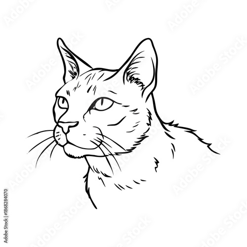 Detailed cat profile sketch showcasing intricate lines and features of feline head with expressive glance. Cat profile sketch reveals uniqueness and charm of feline companions.