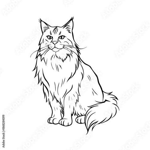 Graceful longhair cat sketch, elegant feline sitting posture. Longhair cat sketch presented as highly detailed engraving drawing, capturing intricate fur details and expressive face.
