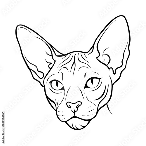 Sphynx face sketch, featuring distinct feline traits, large ears and prominent eyes. Detailed sphynx face sketch captures wrinkled skin, breed elegance.