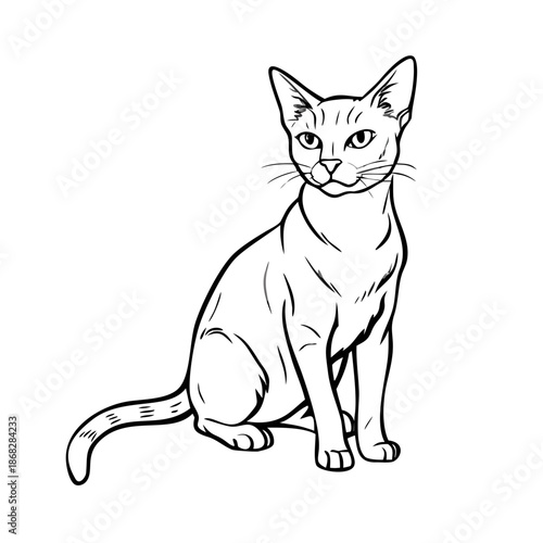 Alert cat sketch portrays watchful feline with elegant posture. Highly detailed engraving drawing features precise line art, capturing animal grace.