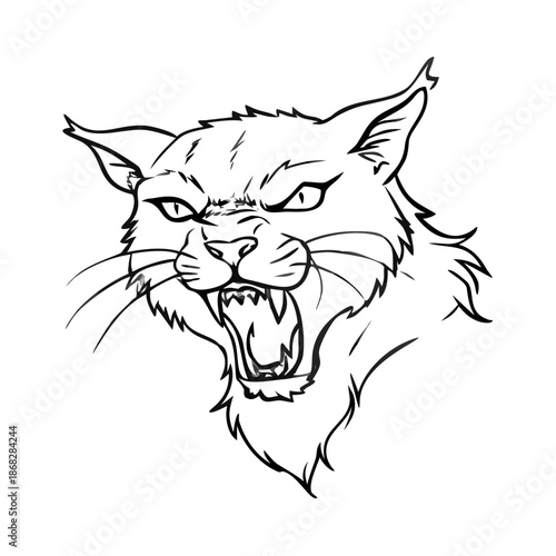 Angry cat sketch featuring fierce expression and bared fangs, illustrating wild feline head with sharp whiskers, pointed ears, and intense eyes.
