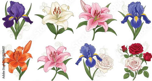 Colorful Floral Illustration Set with Lily Iris and Rose Decorative Botanical Vector
