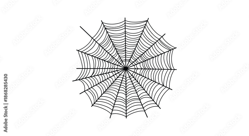 Obraz premium A detailed illustration of a black spiderweb with radial and circular threads