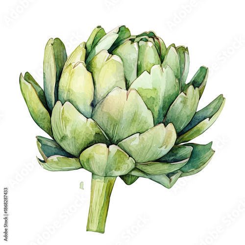 A vectorized, Hand-painted style, vector set available in EPS An Elegant watercolor painting de_Watercolor_style_painting_of_fresh_artichoke_on_a_white