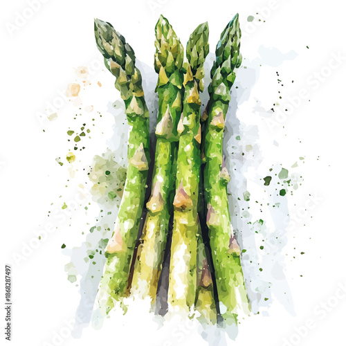 A vectorized, Hand-painted style, vector set available in EPS An Elegant watercolor painting design collection_Watercolor_style_painting_of_fresh_asparagus_on_a_white