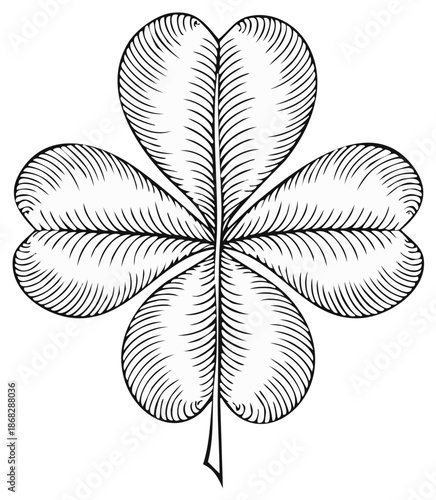 Lucky four leaf clover vintage woodcut illustration representing good fortune and Irish culture
