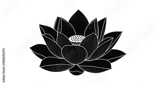 A striking black and white illustration of a delicate lotus flower in bloom