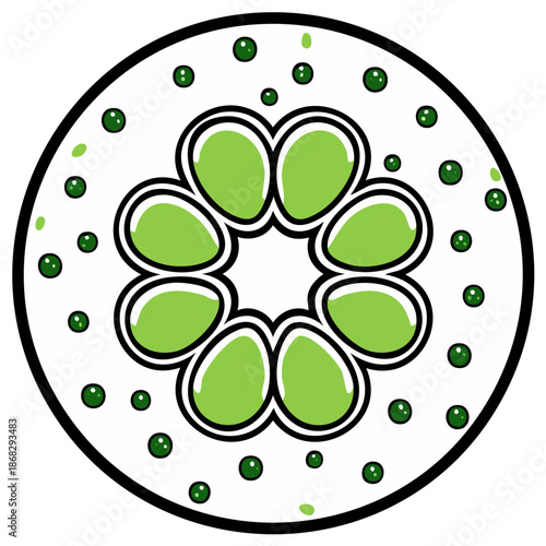 Green Spirogyra Algae Cells With Chloroplasts Macro View