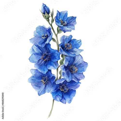 Minimal yet artistic elements for creative designs. hand-drawn paint, Simple Illustration, A beautiful painting of delphinium flower, EPS format, isolated on a white background