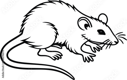 rat creative icon silhouette vector illustration
