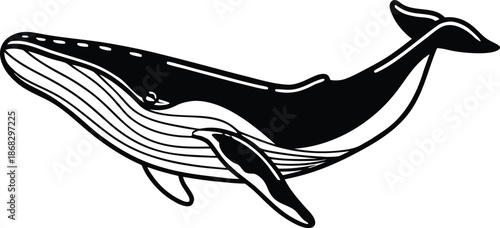 whale artistic silhouette vector illustration
