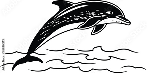 dolphin stylized silhouette vector illustration
