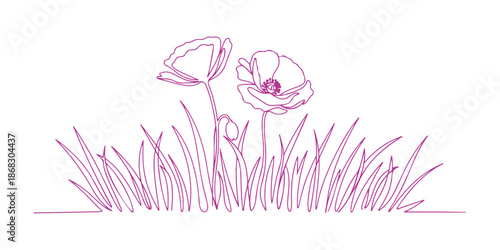 poppy flowers in a continuous line art drawing style.
A doodle floral border with two flowers growing among the grass.