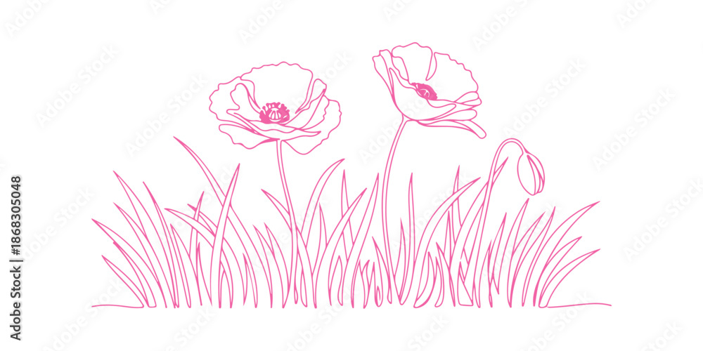 Fototapeta premium Poppy flowers depicted in a continuous line art drawing style. 