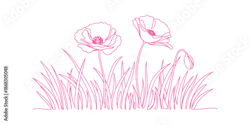 Poppy flowers depicted in a continuous line art drawing style.
