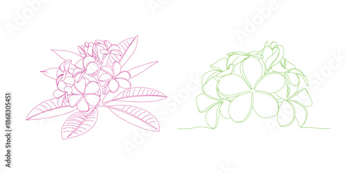 Continuous line art representation of plumeria flowers. A corner border embellished with sweet-scented tropical plumeria (frangipani, jasmine) flowers.
