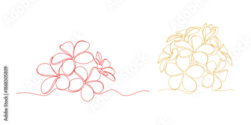 Plumeria blossoms depicted in a continuous line art drawing style. A corner border adorned with aromatic tropical plumeria (frangipani, jasmine) flowers.
