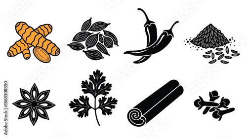 A collection of various spices and herbs illustrated in a graphic style