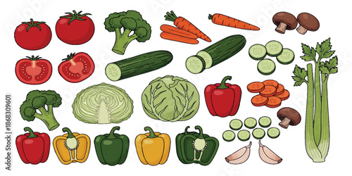 A colorful collection of fresh vegetables including tomatoes, broccoli, peppers, and more