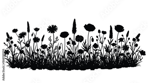 A simple black and white illustration of various wildflowers and grasses