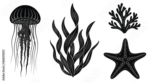 Black and white illustration of a jellyfish seaweed and starfish