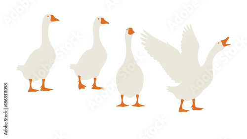 white goose on white background vector set
