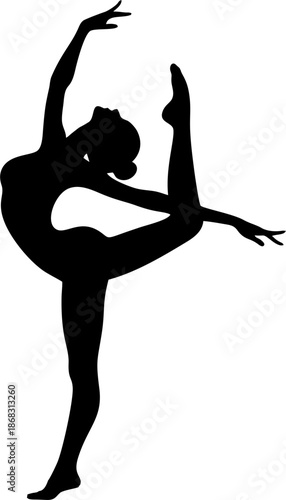 Standing Yoga Stretch Balance...