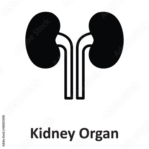 Kidney Organ Vector Icon which can easily modify or edit