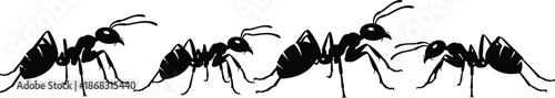 Ant silhouettes, realistic black insect vector illustration, walking ants in a line, wildlife pest icons, nature design elements, isolated crawling ant artwork for projects