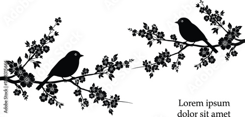 Bird silhouette on flowering branches, elegant black avian pair, decorative botanical nature vector illustration with floral elements isolated on white background